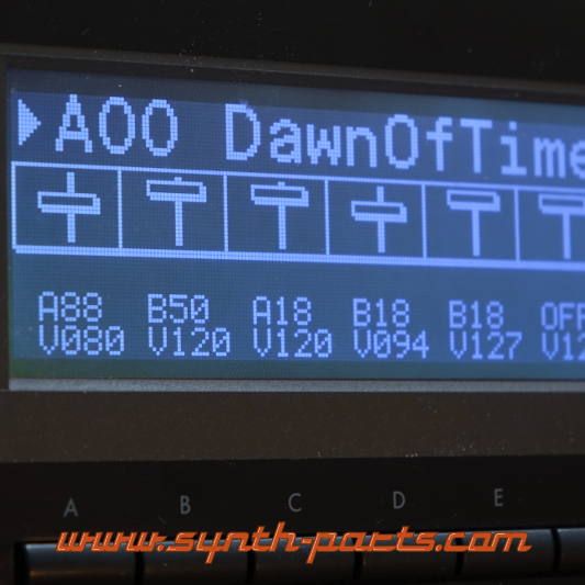 LCD Display Schwarz mit Kabel für Korg 01/W,01R/W
