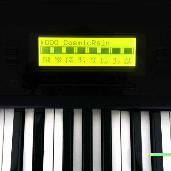 LCD Display Gelb mit Kabel für Korg 01/W,01R/W